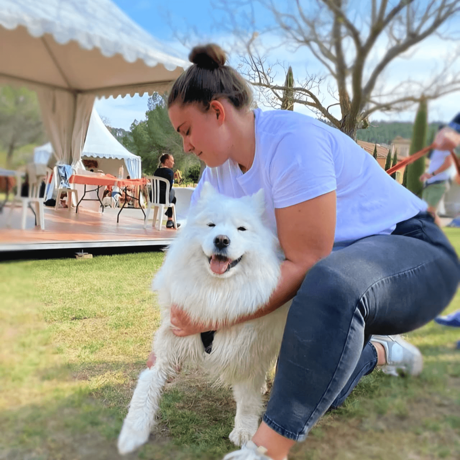 Séance d'ostéopathie sur un chien